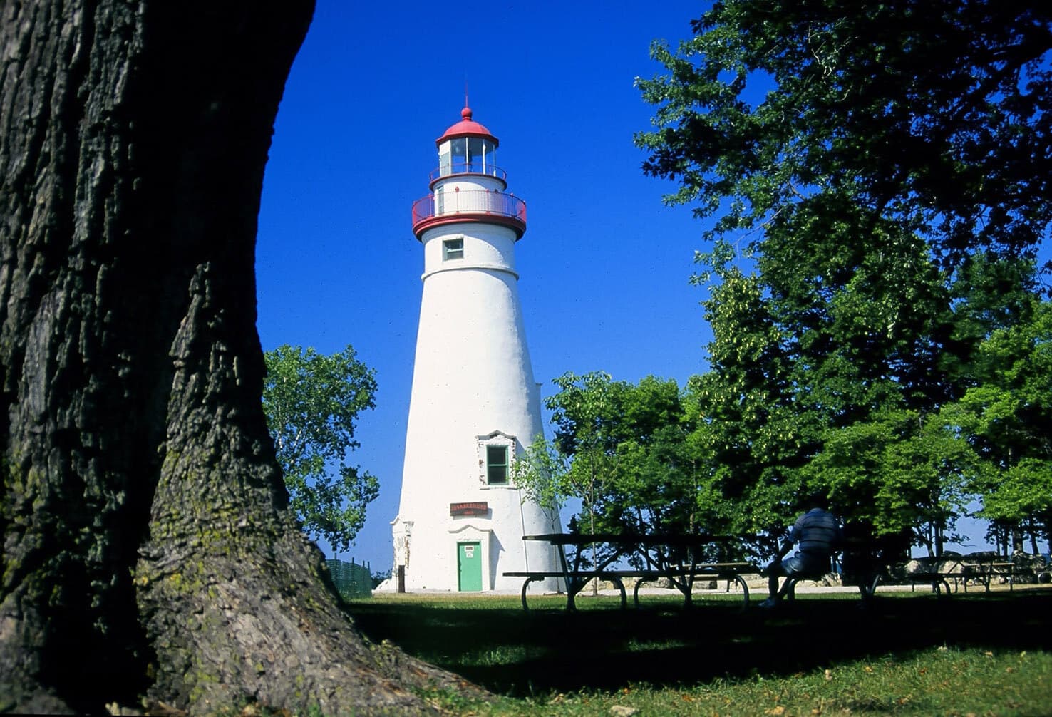 Marblehead Lighthouse on a sunny summer day, framed by a tree